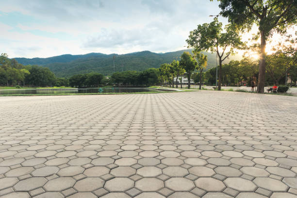 Best Residential Driveway Paver Services  in Cane Savannah, SC