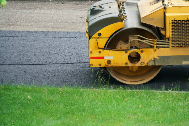 Best Decorative Driveway Pavers  in Cane Savannah, SC